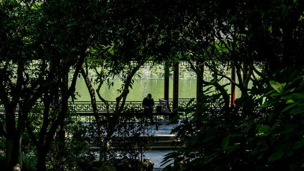 a lakeside pavilion glimpsed through dark leaves